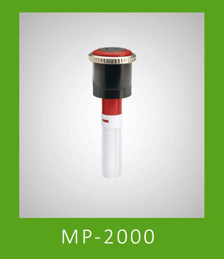 MP 2000