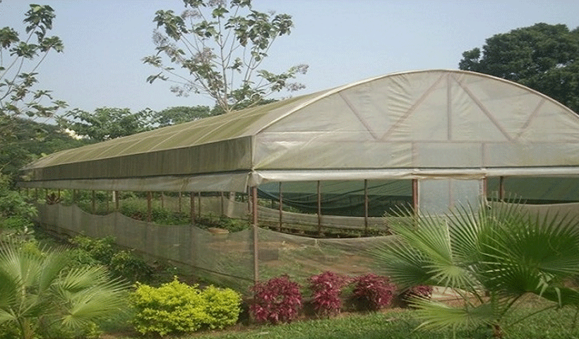 vertical garden Service in Chennai